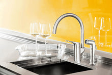 Load image into Gallery viewer, Side sprayer is a handy tool at the kitchen sink. Use it to rinse the sink and dishes. You can also fill big kettles without placing them in the sink.